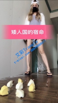 17034【兰儿小主】小矮人的宿命！