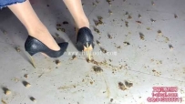 26068  【蓝色-凌然】Crush 蜗牛&amp;#128012; 红色柳丁