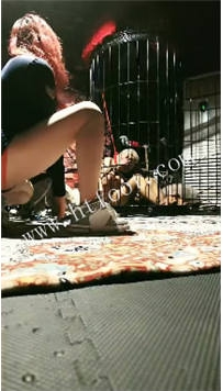 TL50170 月神】抓捕的狗21分钟
