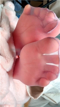 【第一视角】【乔乔在这里】弱智脑残J液面膜    260212-13