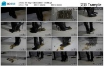 13826 helga li 性感丝袜高跟踩烂一大堆蟑螂
