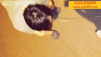 1317 00后Master Jusaka 户外遛狗 鞭打贱奴
