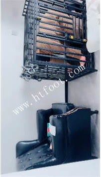 TL44240 芷镜】笼中圣水50分钟