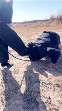 【调教视频】【贝拉】野外捆绑强制虐狗 JS260225-6