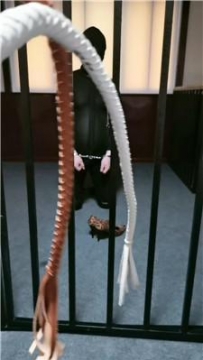 【调教视频】【月亮】囚禁重刑犯场[上] JS251109-4