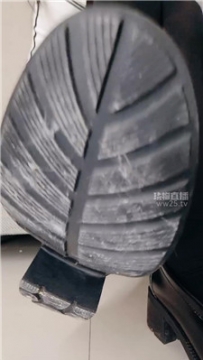 【第一视角】【子衿】粗口乳母司马    260225-14