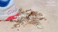 23007【茜茜美归来！】- 连穿1个月的CHANEL超脏底小白鞋踩吐司