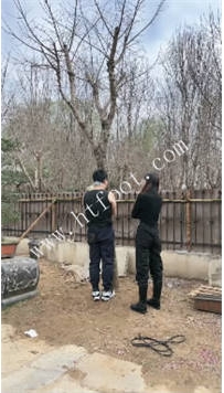 ZB3958=TL35716 沅芷】公开处决私奴51分钟