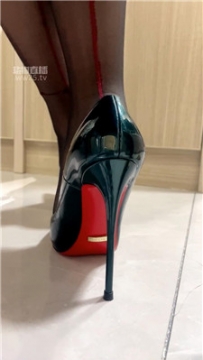 【第一视角】【柠萌小主】灯小狗行为学    260312-30