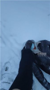 【调教视频】【琼菲】冰天雪地遛狗 JS260113-10