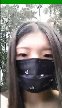 TL3719 狐狸SAMA 游乐场遛狗