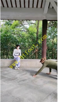 TL33228 暴力美学】户外爆踹47分钟