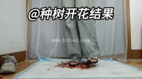 33916  女高露趾凉高碾碎金鱼