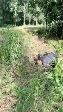 【调教视频】【上元】户外暴力虐打跟踪狂 bf63176