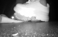 34290  【无意识紫杨】2021.9月电影院白色运动鞋无意识踩手