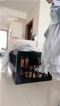 【调教视频】【桃夭大人】洛丽塔S-白丝诱惑踩虐 JS250814-26