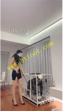 TL41174 妆主】真实圈养光头75分钟