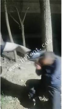 TL45511 西北傻子】半夜小妈捆树上暴打傻子61分钟