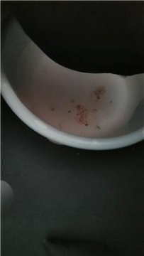 【调教视频】【沐颜】双S-圈养狗笼奴才脚下喂食【双视角版】 JS241228-27