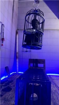 【调教视频】【暴躁七七】刑房囚禁双奴 JS260302-34