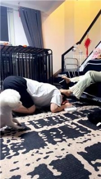 【调教视频】【梦露】犬化卑微狗奴 JS260604-69