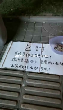 TL11170 虫虫 1004号奴的乞讨生活