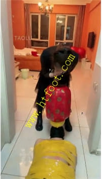 TL26871 逗逗】呕吐全食深喉插吐34分钟