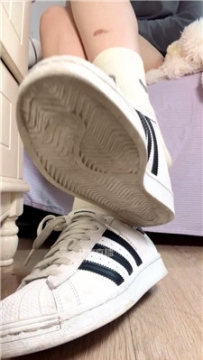 【第一视角】【咬猫】傻子白给棉袜    260227-30