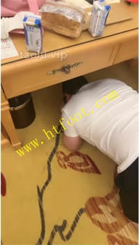 TL37704 猫咪大大】暴揍小奶狗65分钟