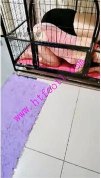 TL19028 梦幻大大S调教不听话的双母畜40分钟