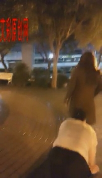 12586 女主公园长椅调贱狗