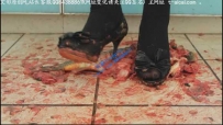 17703 哚儿巨制-（鲤鱼盛宴-超残忍刑场的巨献）