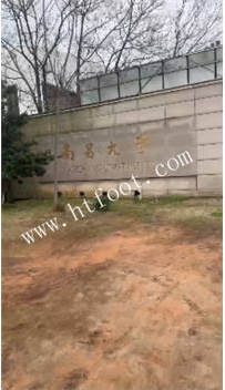 TL43930 樱木花道】大学城开发封面艺术生17分钟