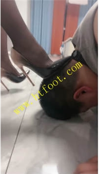 TL35413 羽珊】兰州玩狗35分钟