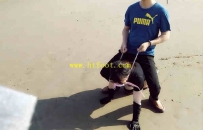 20086 刺激骑马第三弹