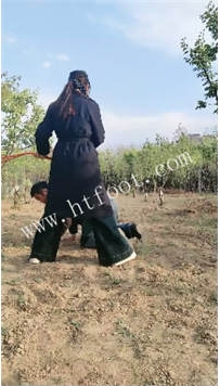 ZB5087 疼痛挨打狗】户外枣园41分钟