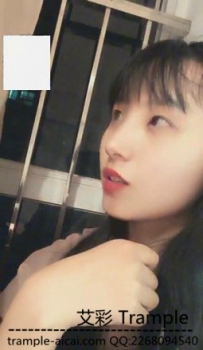 12381 初九安桥直播