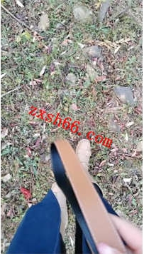 TLZB25949波波女神-野外调教专场27分