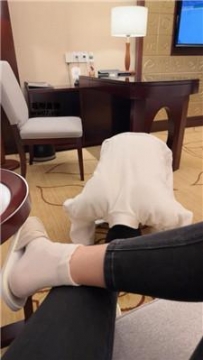 【调教视频】【佳禾】强迫下跪狗舔白袜jio JS250510-21