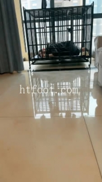 ZB12061 语阳】圈养的奴39分钟