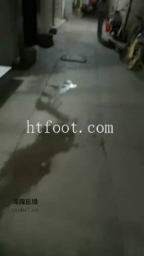 ZB10300 西北傻子】户外偶遇32分钟