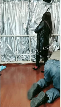 ZB3640 冰炫】暴揍老狗51分钟