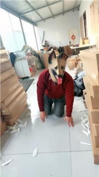【调教视频】【小原妈妈】彻底训化人形犬 JS241209-27