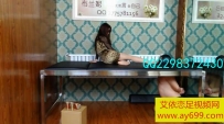 2515 兰妮的智能保健大床----具有大保健功能-----SM十大品牌床