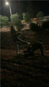 【调教视频】【西彤】户外强制虐狗-重度鞭打 bf53270