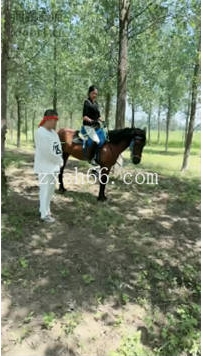 TL459 爱丽丝S 开发胖虎当畜生马36分钟