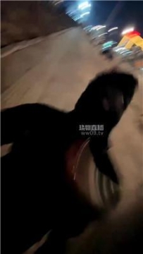 【调教视频】【兰主人】户外+车内白袜虐贱奴 JS251206-27