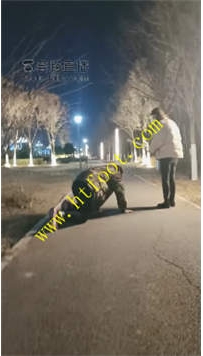 TL33980 套路第一刑】户外遛狗24分钟