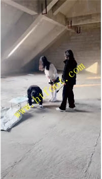 TL33462 柔柔】女尊男卑39分钟