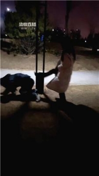 【调教视频】【南烟大人】闺蜜户外遛母狗 JS251222-33